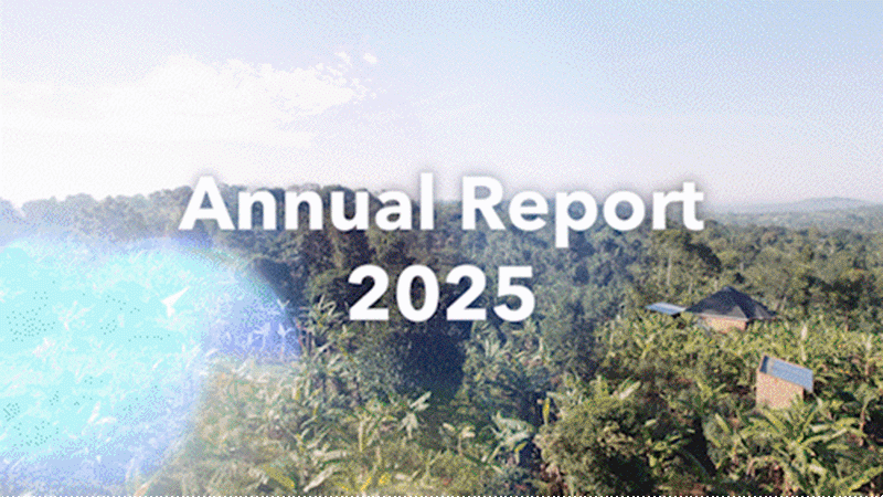 Annual Report 2025