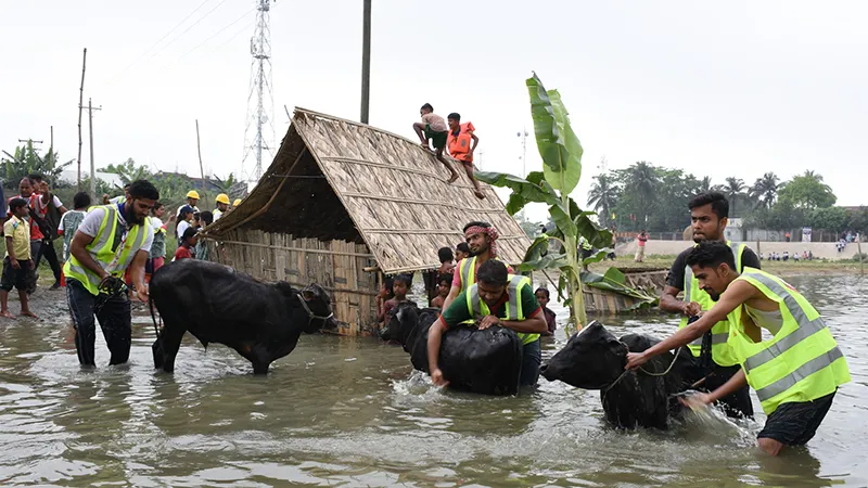 Hoar Flood 4 