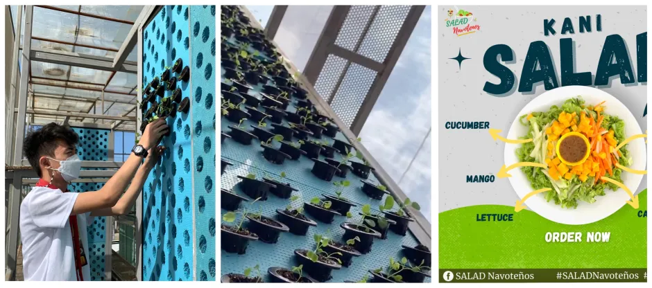 Sky Gardens 