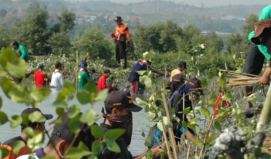 Natural Disaster Preparedness